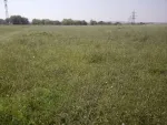 teren intravilan pt constructii - Miniatura 4
