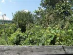 CASA DE VACANTA CU VIE DE VANZARE BACAU - Miniatura 6