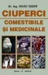 Champignon in sistem intensiv - Miniatura 9