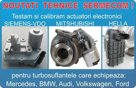 Testare si calibrare actuatori electronici Hella, Mitshubishi, Siemens-VDO - Imaginea 1
