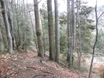 Teren de vanzare Paraul Rece 23. 000 mp ! ! ! - Miniatura 1