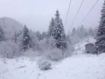 Teren de vanzare Paraul Rece 23. 000 mp ! ! ! - Miniatura 3