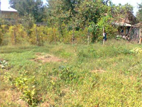 vand casa tg bujor - Imaginea 6