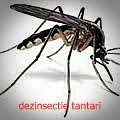 Firma Deratizare non stop - Miniatura 3