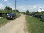 CASA CU VIE DE VANZARE - Miniatura 4