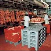 Paleti plastic Euro H1
