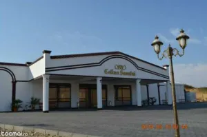 Colina Sasului