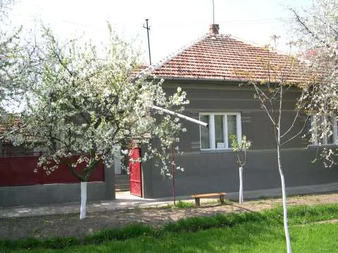 Vand casa 5 camere Curtici - Imaginea 2