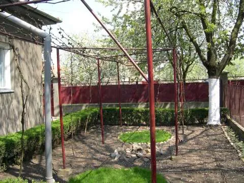 Vand casa 5 camere Curtici - Imaginea 4