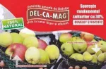 DEL- CA- MAG dolomita amorfa bucuresti ilfov prahova - Miniatura 2