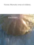 Cumpar baxuri de banane - Miniatura 5