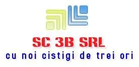 3 B