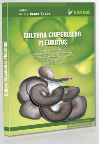 Producerea miceliului de ciuperci - Imaginea 5