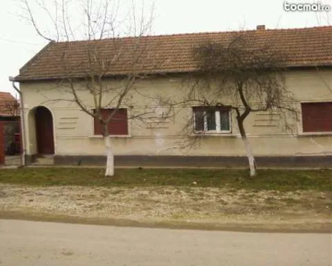 Casa in Gavojdia langa Lugoj - Imaginea 2