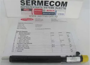 Injectoare SSangYong Actyon, Rexton, Kyron, Rodius