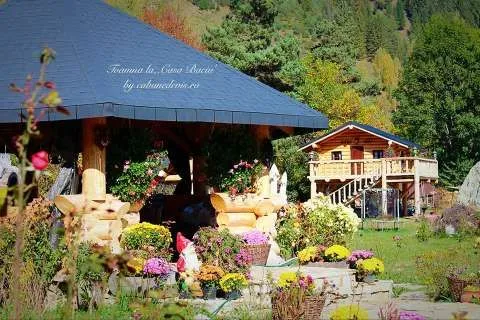 Case si cabane din busteni - Imaginea 2