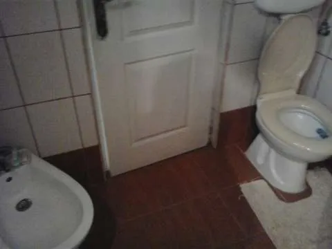 VAND CASA CU GRADINA SI TEREN - Imaginea 6