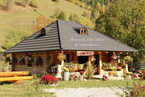 Case si cabane din busteni - Imaginea 5