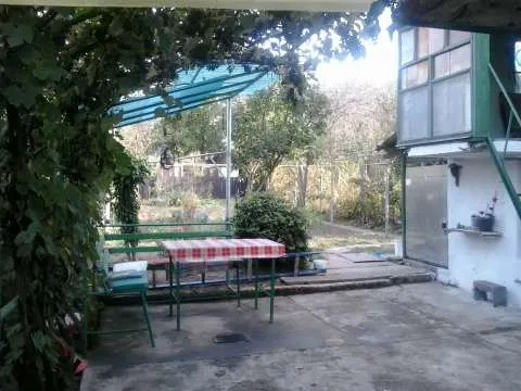VAND CASA CU GRADINA SI TEREN - Imaginea 11