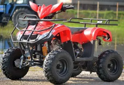 ATV T- Rex 125cc Nou cu Garantie Import Germania - Imaginea 2