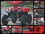 ATV T- Rex 125cc Nou cu Garantie Import Germania - Miniatura 3