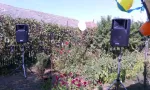 Dj nunta botez petrecere majorat - Miniatura 5
