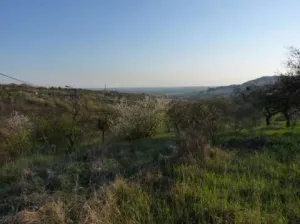 Vind teren intravilan Podgoria, Oradea