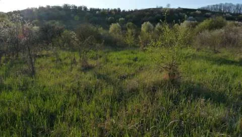 Vind teren intravilan Podgoria, Oradea - Imaginea 3