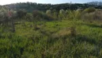 Vind teren intravilan Podgoria, Oradea - Miniatura 3