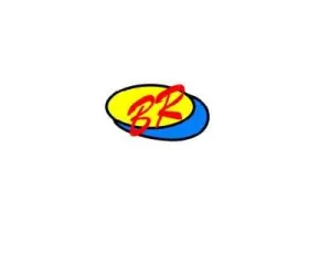 BAO RUI INDUSTRY