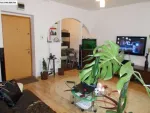 PROPRIETAR - Miniatura 2