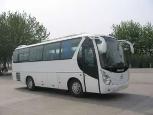 TRANSPORT INTERNATIONAL PERSOANE   IASI ROMANIA - DANEMARCA la adresa
