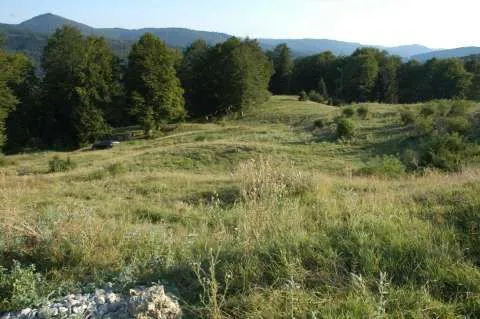 Teren Sinaia, Cota 1000 intravilan 80000 mp - Imaginea 2