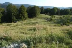 Teren Sinaia, Cota 1000 intravilan 80000 mp - Miniatura 2