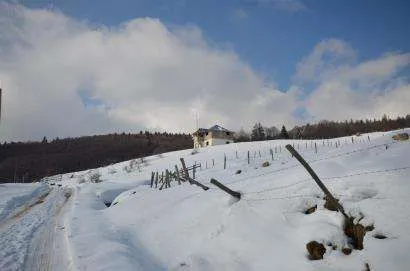 Teren Sinaia, Cota 1000 intravilan 80000 mp - Imaginea 4