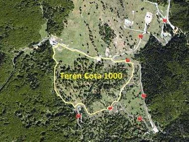 Teren Sinaia, Cota 1000 intravilan 80000 mp - Imaginea 6
