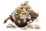 Seminte Paulownia - Miniatura 1
