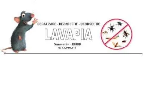 LAVAPIA