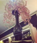 Hotel Carpathia - Miniatura 2