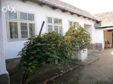 vand casa Gradinari - Imaginea 5