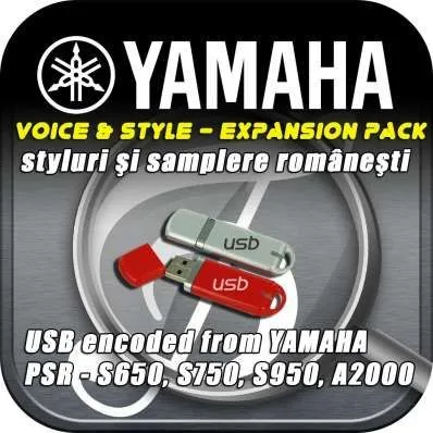 Dischete cu ritmuri si set- uri pentru orga - Imaginea 3