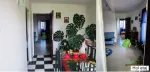 Vand casa superba oras baicoi, 15km de ploiesti - Miniatura 1