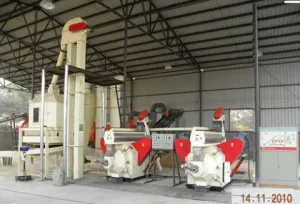 linie automata peleti, 1000 kg/ h