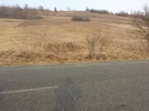 Vand sau schimb 2 terenuri cu imobil