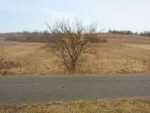 Vand sau schimb 2 terenuri cu imobil - Miniatura 2