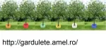 Gardulete ornamentale - Miniatura 2