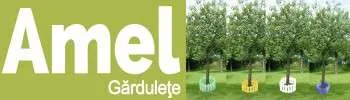 Gardulete ornamentale - Imaginea 3