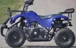 50cc Mini Quad Python import Germany - Miniatura 1