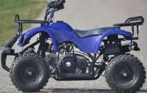 50cc Mini Quad Python import Germany