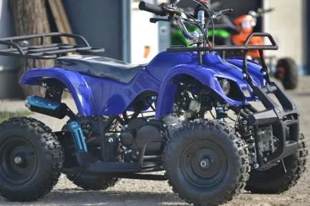 50cc Mini Quad Python import Germany - Imaginea 3